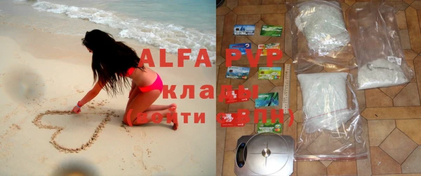 индика Покачи