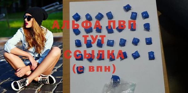 индика Покачи