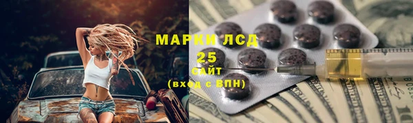 индика Покачи