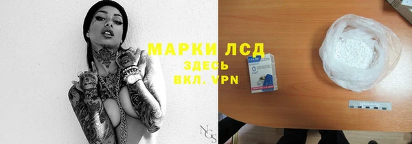 индика Покачи