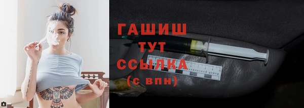 индика Покачи