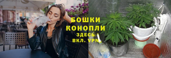 spice Покров