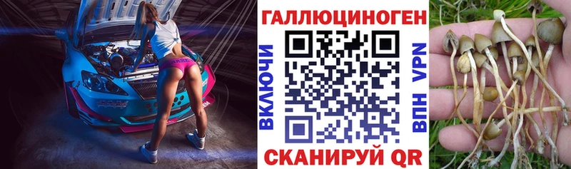 Галлюциногенные грибы мухоморы  Отрадное 