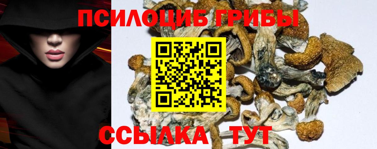 Отрадное  Галлюциногенные грибы Cubensis  Вход с VPN 